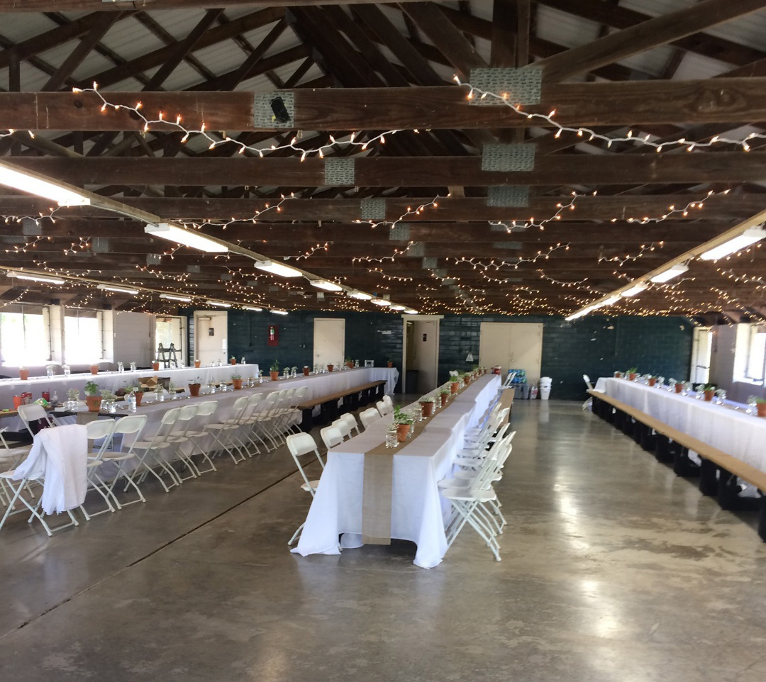 Pavilion 1 Wedding Photo Tri-Township Park in Troy IL